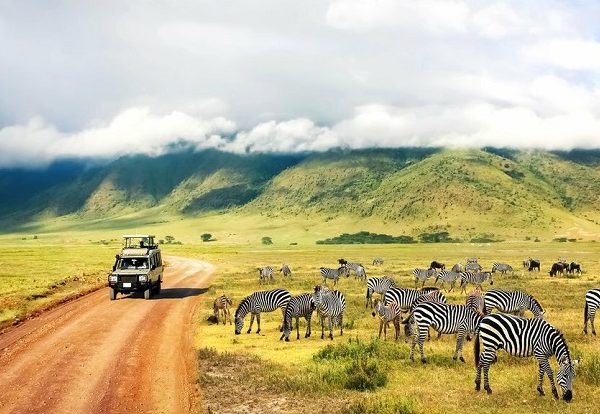 7-day-tanzania-safari