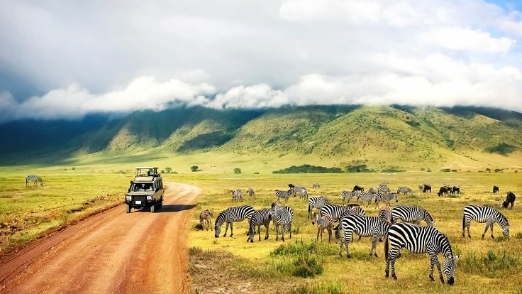 7 Days Tanzania Safari Adventure