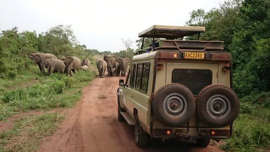 2 Days Akagera Wildlife Safari