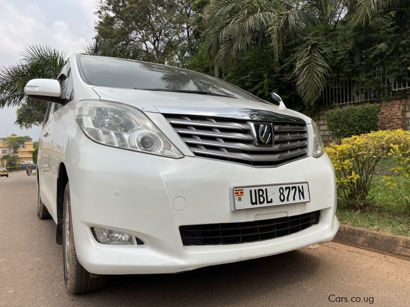 Alphard