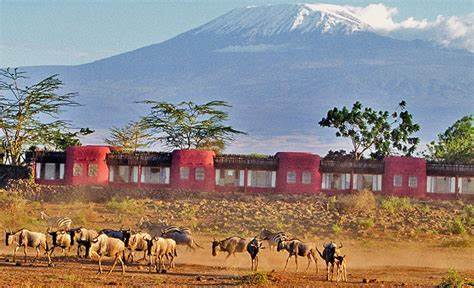 amboseili-serena-lodge
