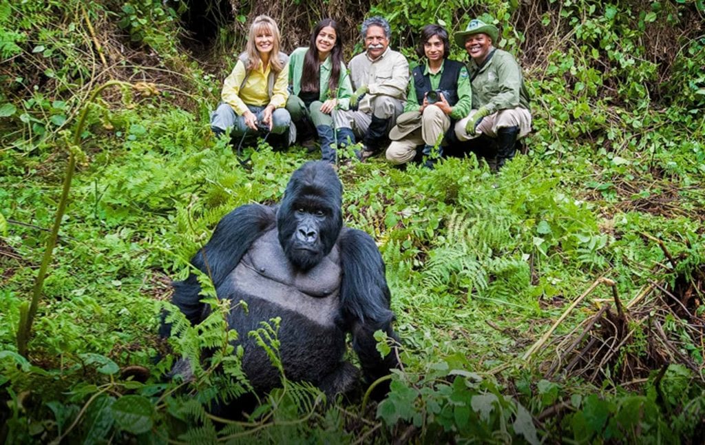 gorilla-trekking-rwanda