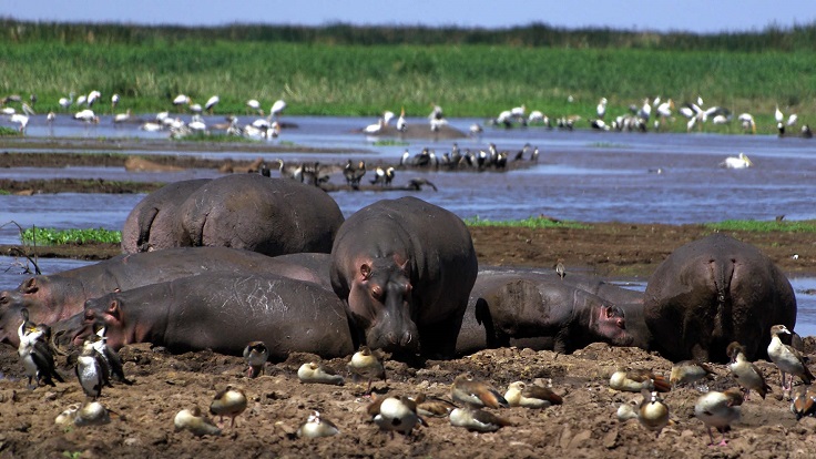 lake-manyara-tour