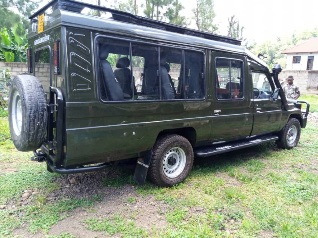 safari-cruiser2