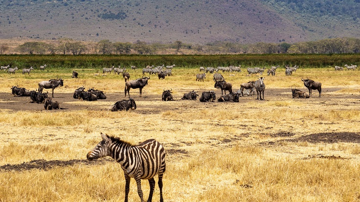 3 Days Tanzania Safari