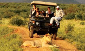 uganda-safaris-africa