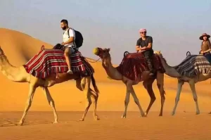 dubai-desert-safari-camel-tour
